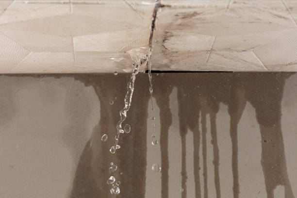 Professional Structural Drying technician working in Jamison, PA
